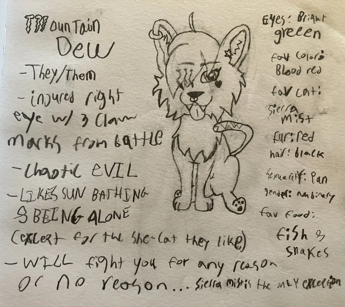 Warrior Cats (by Erin Hunter) Original Character