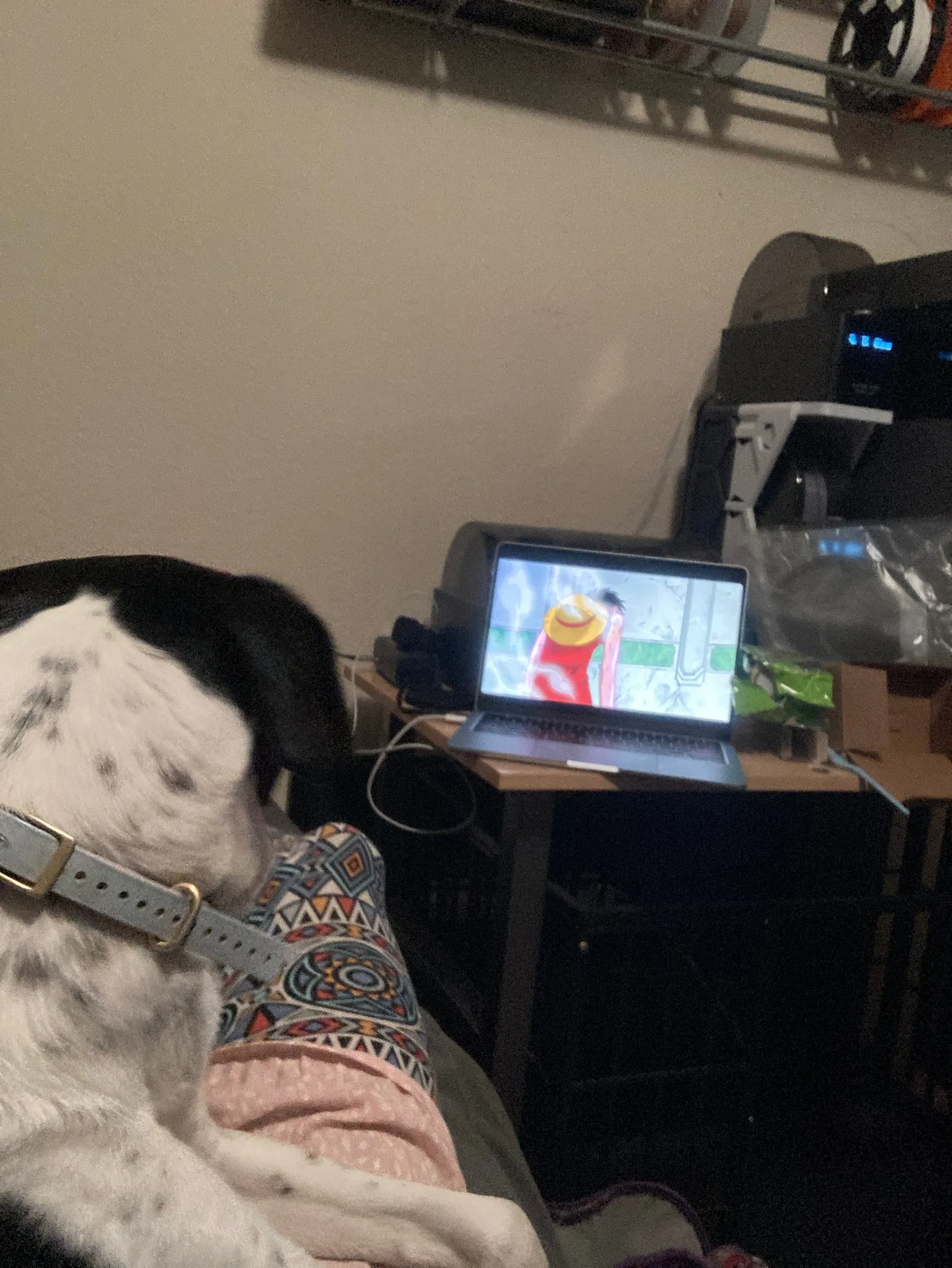 Black Jack, my One Piece watching companion.