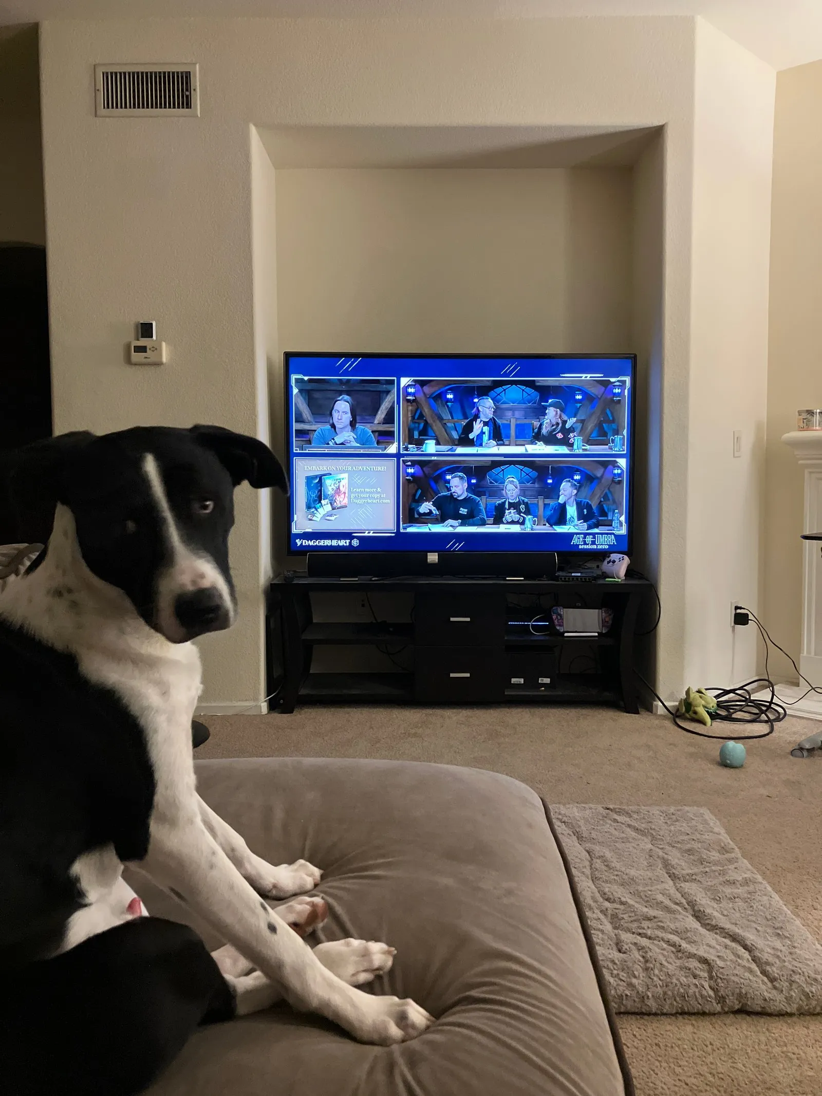 Blackjack, taking notes on Daggerheart Campaigns.