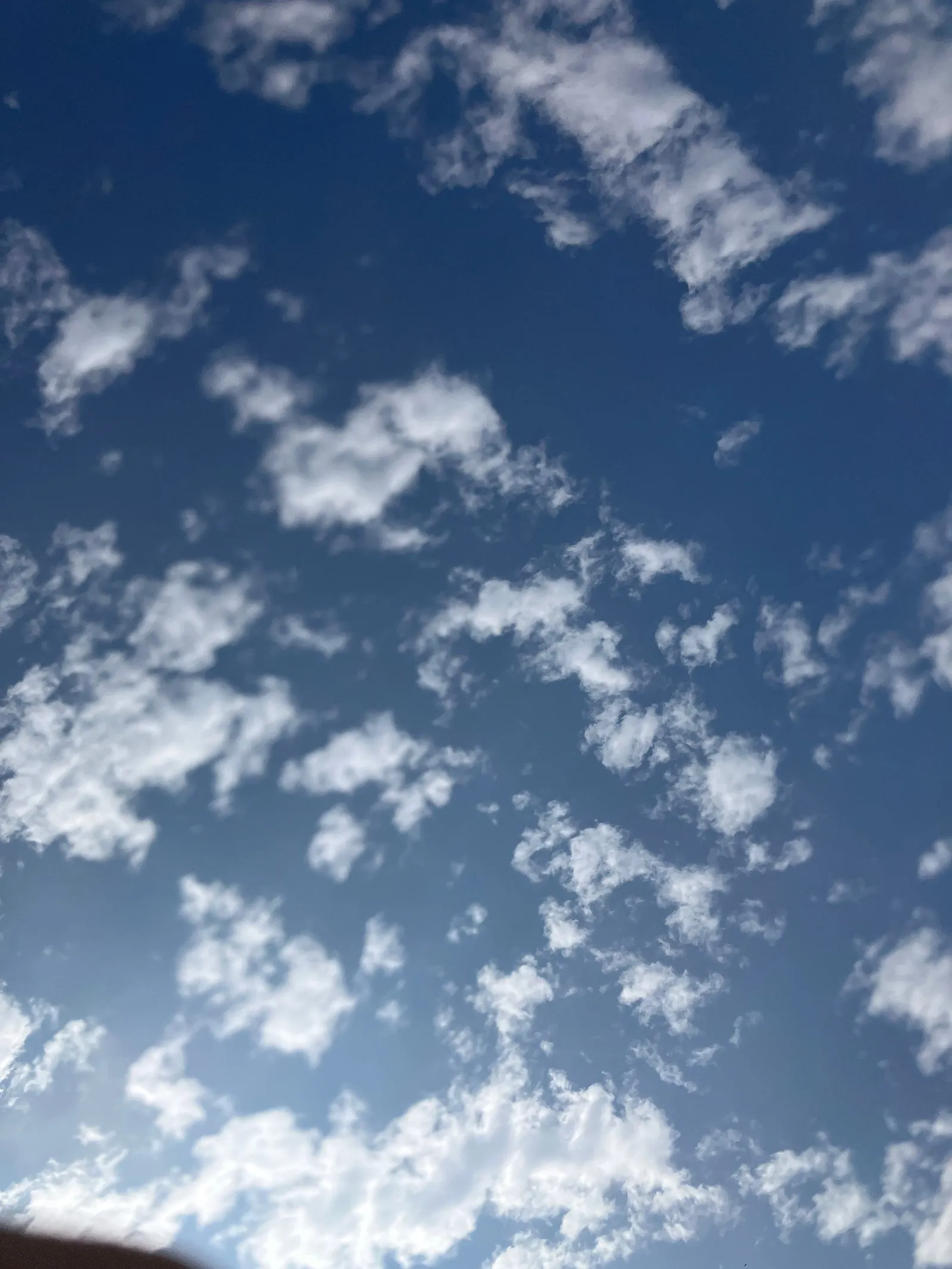 Summer skies with fluffy clouds.