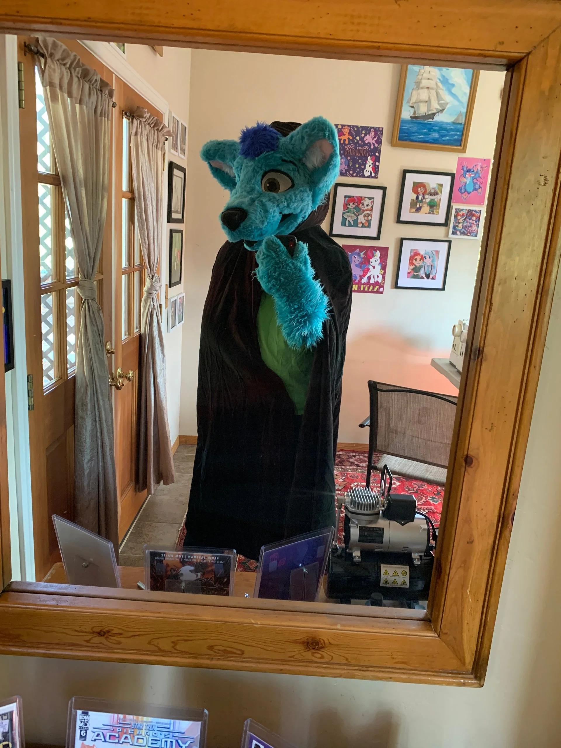 My handmade Halloween cloak for my D&D one-shot campaign