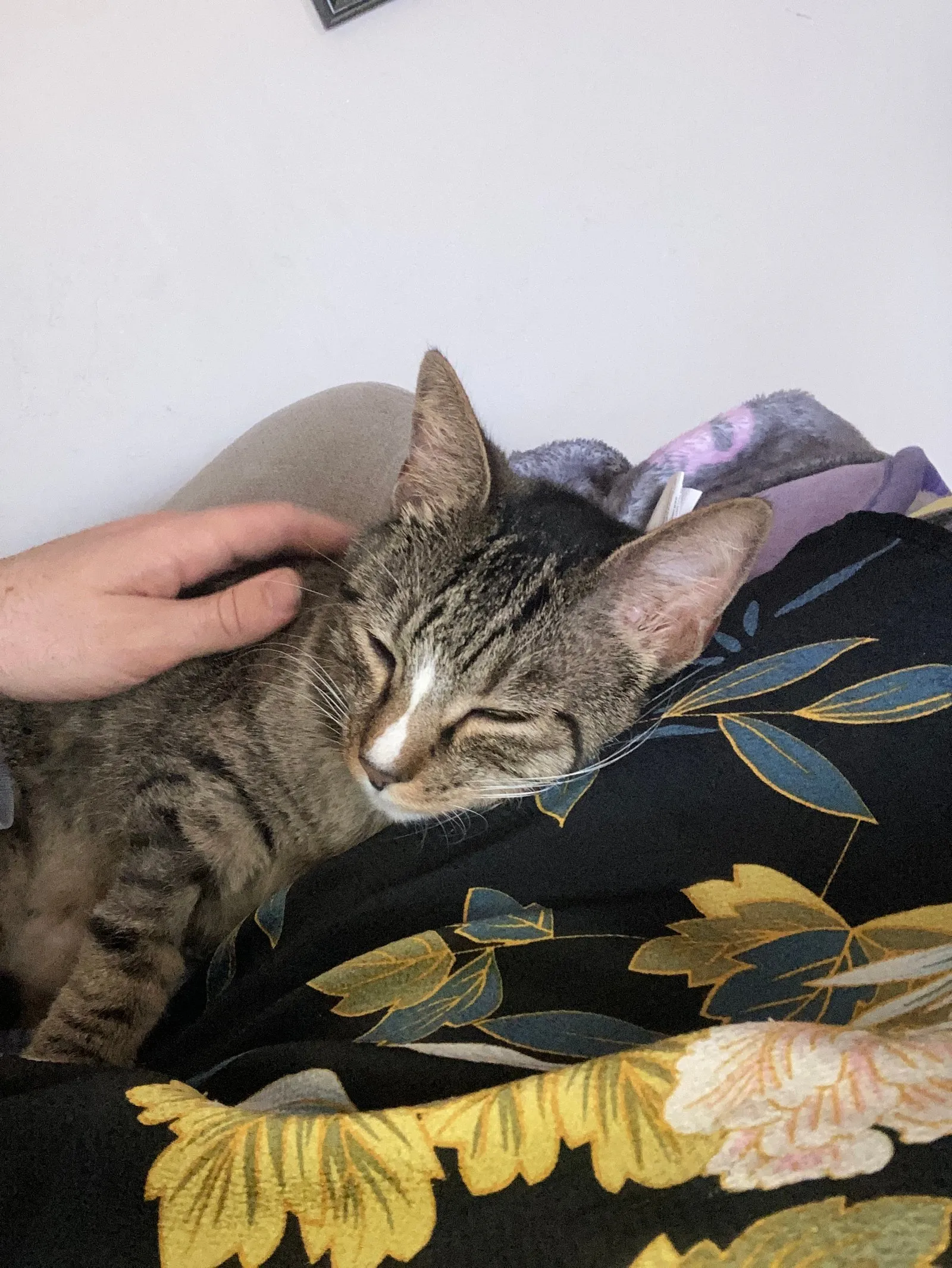 Alley warmed up to me quickly.