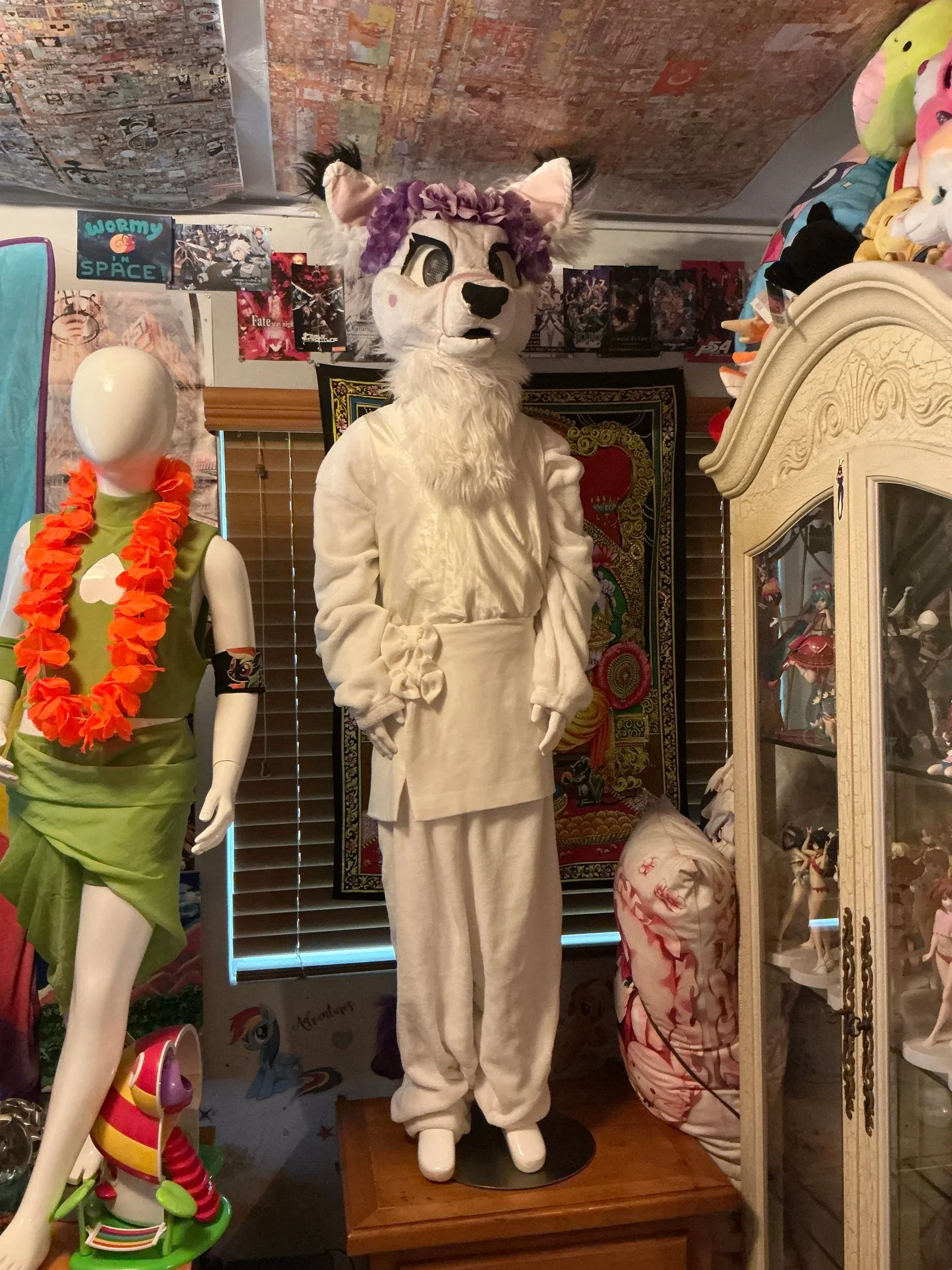 Anakin the Manakin wearing a fursuit.