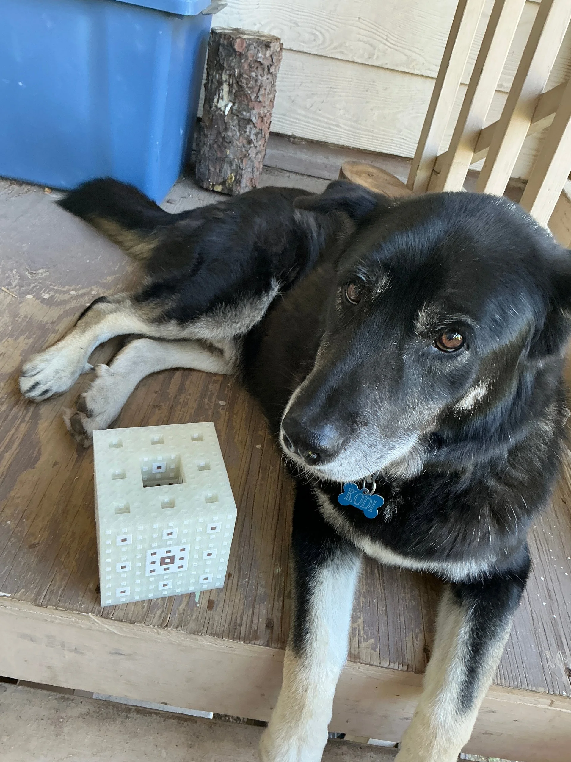 A 3D printed Menger sponge, with Kodi for scale (and approval).