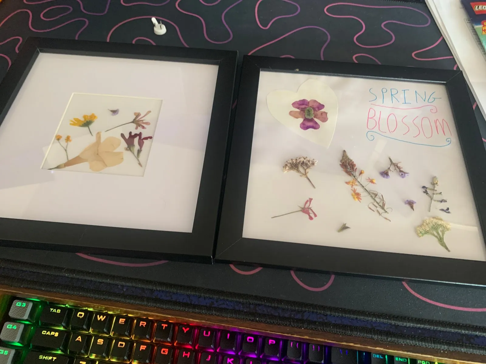 Pressed flowers from my garden