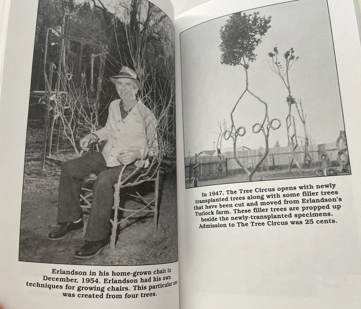 How to Grow a Chair: The Art of Tree Trunk Topiary by Richard Reames; Barbara Delbol